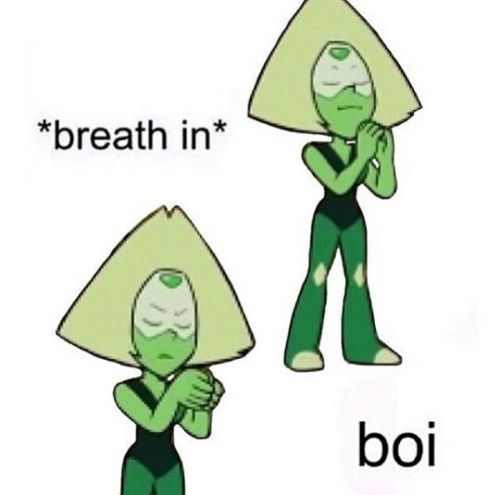 Meme 4